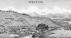 Die Weinberge von Westum (bitte anklicken zum Vergrößern)